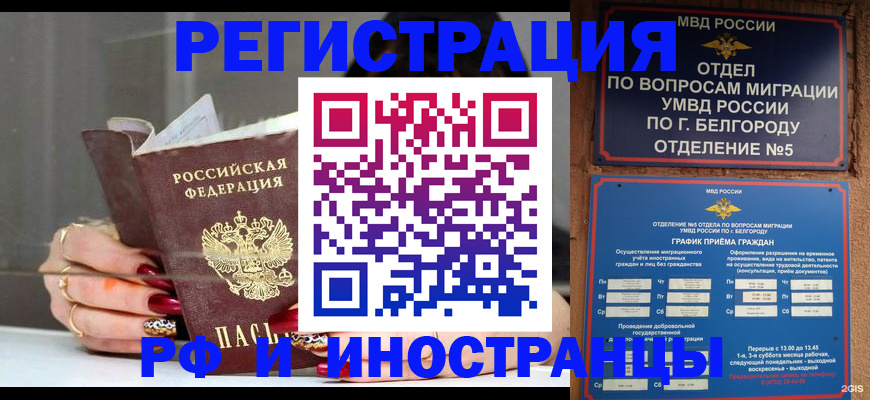 прописка в Котласе